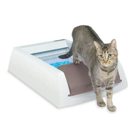 electric litter box walmart|disposable litter box Walmart.